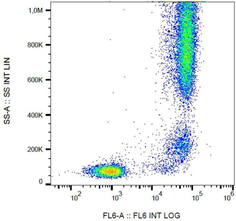 Flow Cytometry - Biotin Anti-CD13 antibody [WM15] (AB130430)