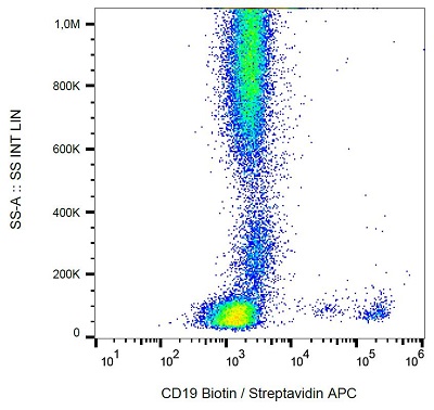 Flow Cytometry - Biotin Anti-CD19 antibody [LT19] (AB239237), expandable thumbnail