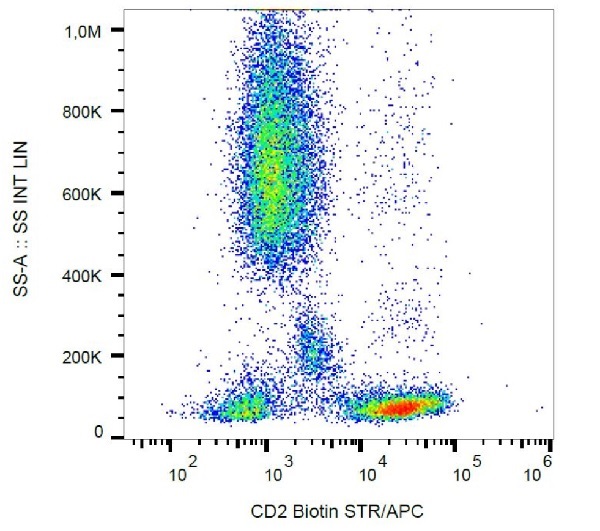 Flow Cytometry - Biotin Anti-CD2 antibody [MEM-65] (AB21901), expandable thumbnail