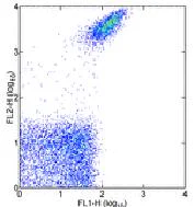 Flow Cytometry - Biotin Anti-CD41 antibody [MWReg30] (AB95727)