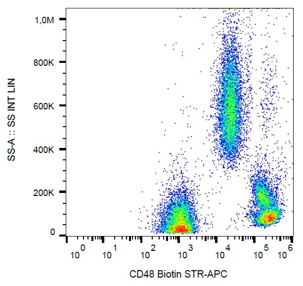 Flow Cytometry - Biotin Anti-CD48 antibody [MEM-102] (AB28111), expandable thumbnail