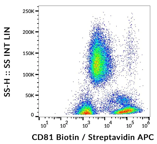 Flow Cytometry - Biotin Anti-CD81 antibody [M38] (AB239238)
