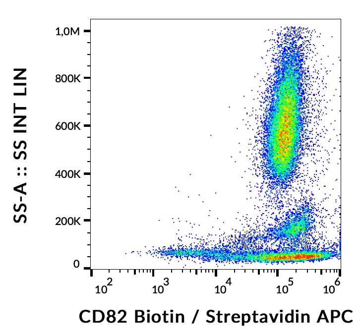 Flow Cytometry - Biotin Anti-CD82 antibody [C33] (AB190292)
