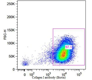 Flow Cytometry (Intracellular) - Biotin Anti-Collagen I antibody (AB6577)