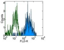 Flow Cytometry - Biotin Anti-CSF-1-R antibody [12-3A3-1B10] (AB95730)