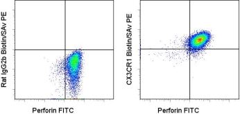 Flow Cytometry - Biotin Anti-CX3CR1 antibody [2A9-1] (AB95620)