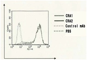Flow Cytometry - Biotin Anti-Fc epsilon RI/FCER1A antibody [CRA1] (AB122882)