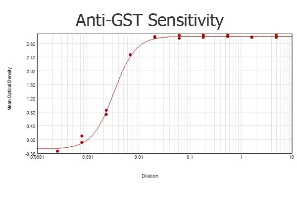 ELISA - Biotin Anti-GST antibody (AB71283)