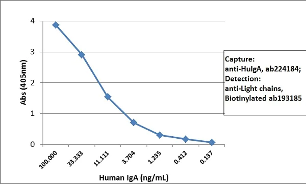 Sandwich ELISA - Biotin Anti-IgA antibody [RM128] (AB224184)