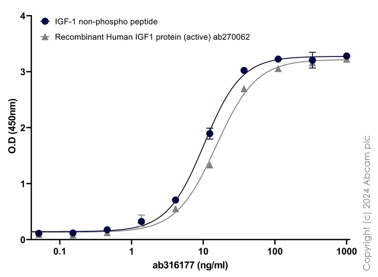 ELISA - Biotin Anti-IGF1 + IGF2 antibody [EPR5098(2)] (AB316177)