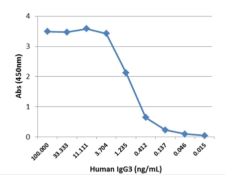 Sandwich ELISA - Biotin Anti-IgG3 antibody [RM119] (AB224181)