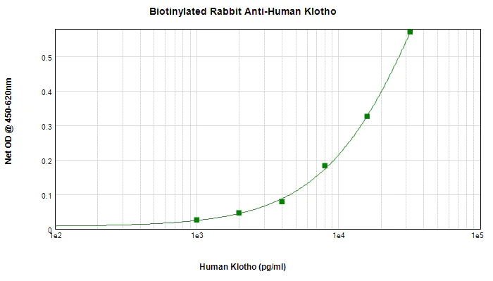 Sandwich ELISA - Biotin Anti-Klotho antibody (AB271241)
