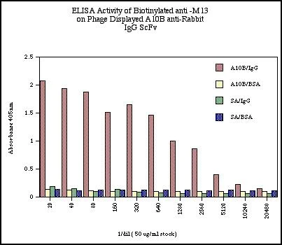 ELISA - Biotin Anti-M13 antibody [E1] (AB17269)