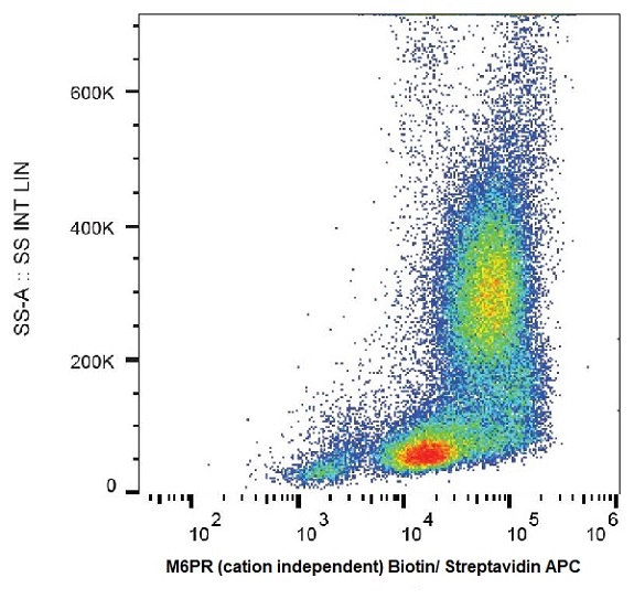 Flow Cytometry - Biotin Anti-M6PR (cation independent) antibody [MEM-238] (AB239242), expandable thumbnail