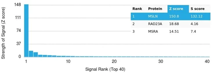 Protein Array - Biotin Anti-Mesothelin antibody [MSLN/2131] (AB271813)