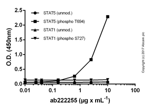 ELISA - Biotin Anti-Phosphotyrosine antibody [EPR16871] (AB222255)