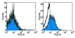 Flow Cytometry - Biotin Anti-RANKL antibody [IK22/5] (AB95720)