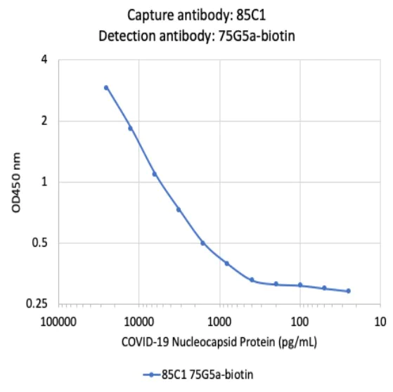 Sandwich ELISA - Biotin Anti-SARS-CoV-2 nucleocapsid protein antibody [75G5a] (AB284654)