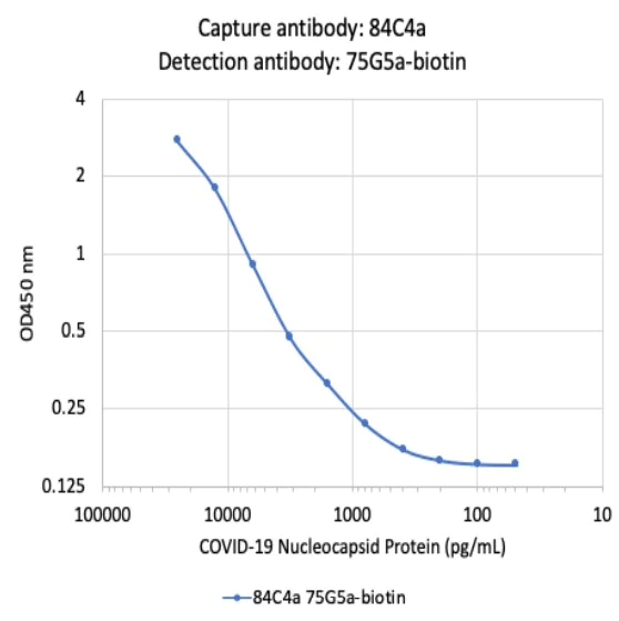 Sandwich ELISA - Biotin Anti-SARS-CoV-2 nucleocapsid protein antibody [75G5a] (AB284654)