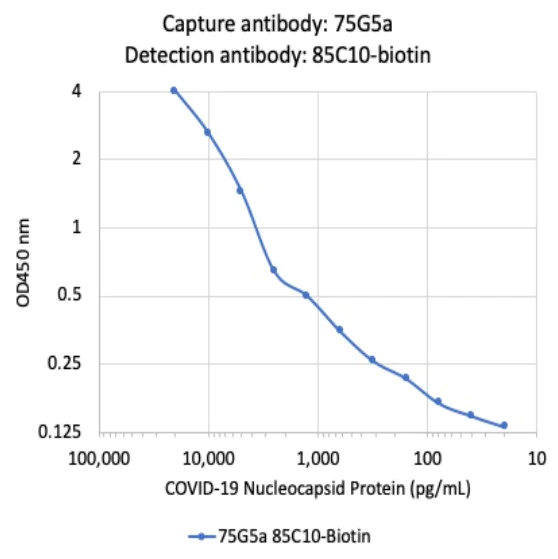 Sandwich ELISA - Biotin Anti-SARS-CoV-2 nucleocapsid protein antibody [85C10] (AB284656)