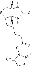 Chemical Structure - Biotin succinimidyl ester (AB275367)