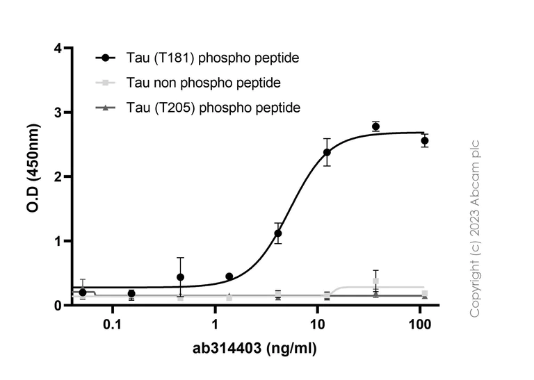 Indirect ELISA - Biotin Anti-Tau (phospho T181) antibody [EPR23506-107] (AB314403)