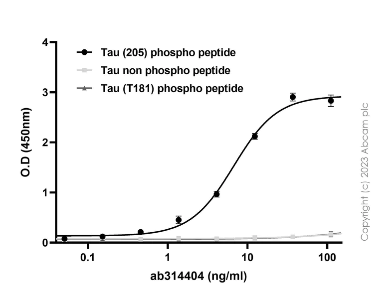 Indirect ELISA - Biotin Anti-Tau (phospho T205) antibody [EPR23505-13] (AB314404)