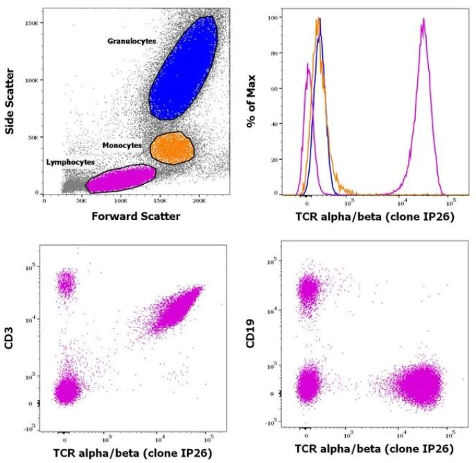 Flow Cytometry - Biotin Anti-TCR alpha + TCR beta antibody [IP26] (AB95647)