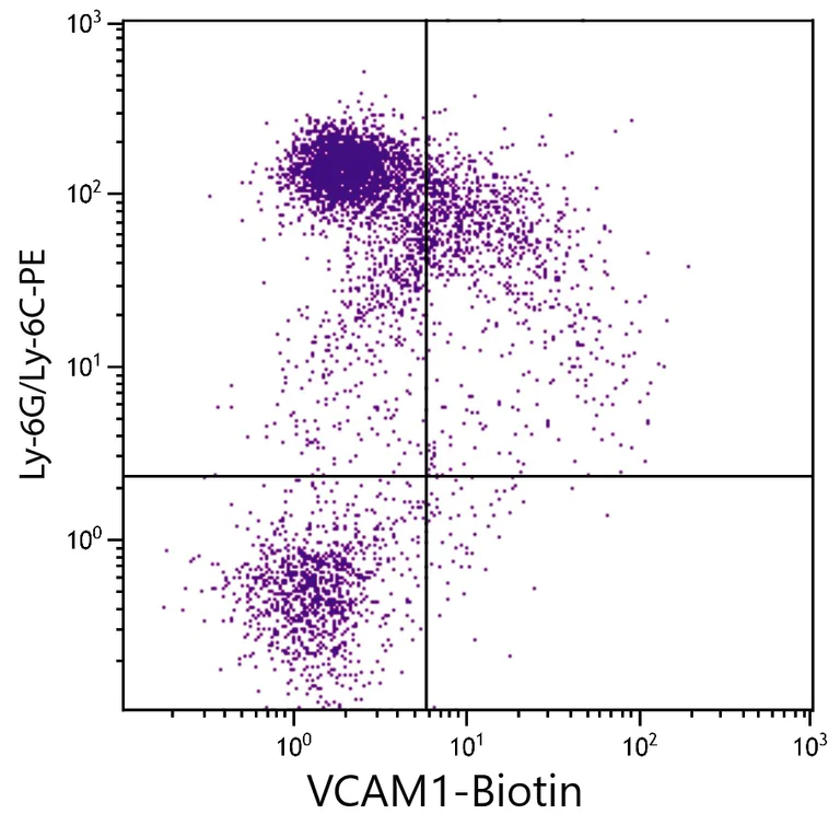 Flow Cytometry - Biotin Anti-VCAM1 antibody [M/K-2] (AB24942)