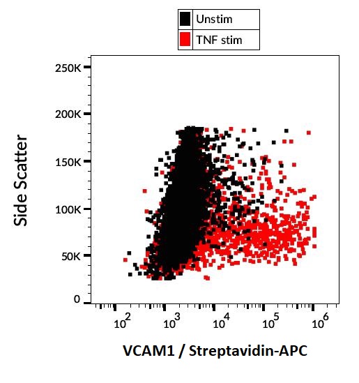 Flow Cytometry - Biotin Anti-VCAM1 antibody [STA] (AB239243), expandable thumbnail