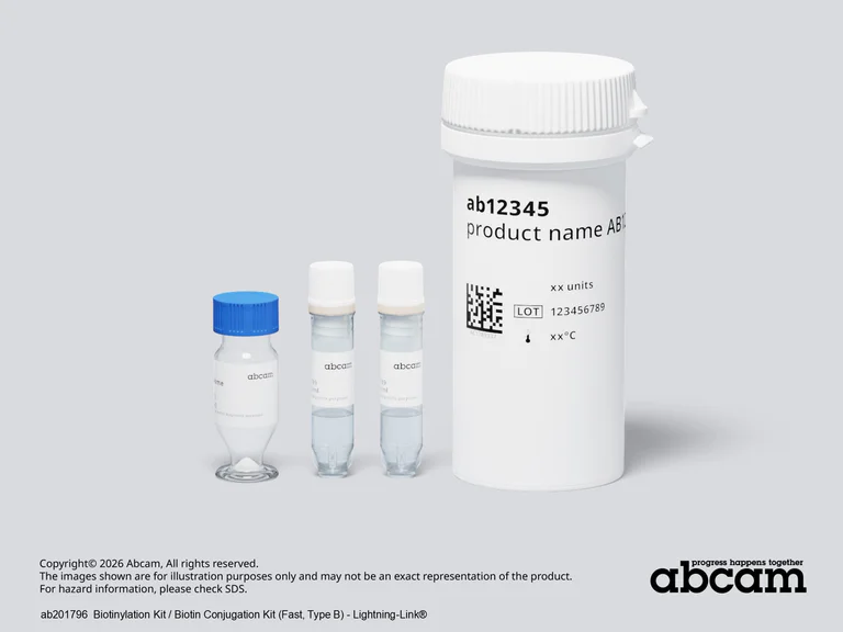 Other - Biotinylation Kit / Biotin Conjugation Kit (Fast, Type B) - Lightning-Link® (AB201796)