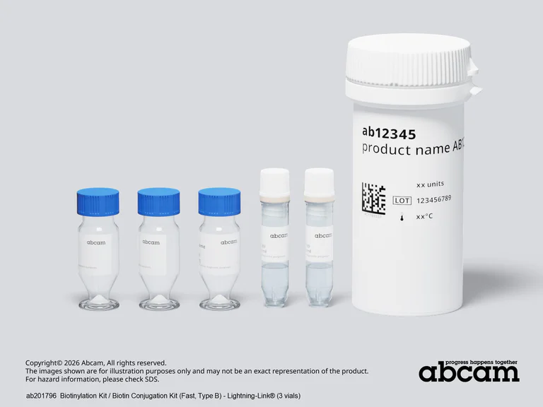 Other - Biotinylation Kit / Biotin Conjugation Kit (Fast, Type B) - Lightning-Link® (AB201796)