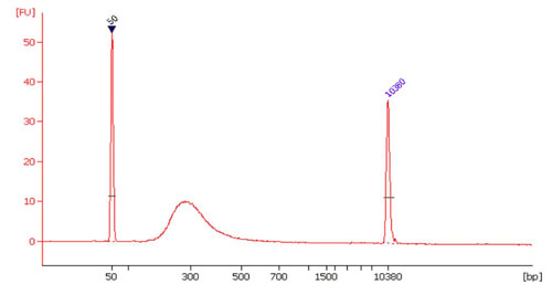 Mass Spectrometry - Bisulfite-Seq High Sensitivity Kit (For Illumina®) (AB185907)