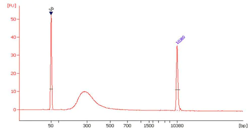 Mass Spectrometry - Bisulfite-Seq High Sensitivity Kit (For Illumina®) (AB185907)