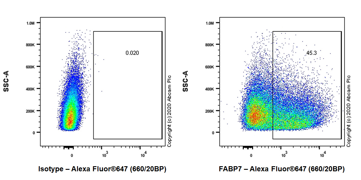 Flow Cytometry (Intracellular) - Anti-BLBP antibody [EPR24033-13] (ab279649), expandable thumbnail