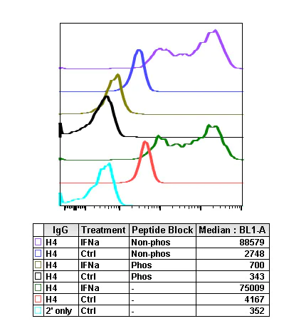 Flow Cytometry - Anti-BLNK (phospho Y84) antibody [BLNKY84-H4] (AB278566)