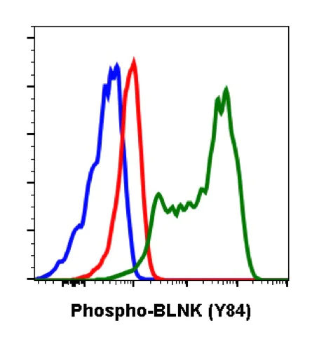 Flow Cytometry - Anti-BLNK (phospho Y84) antibody [BLNKY84-H4] (AB278566)
