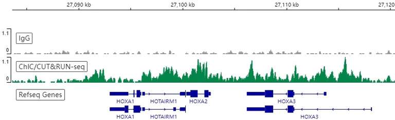 ChIC/CUT&RUN sequencing - Anti-Bmi1 antibody [EPR22604-160] - ChIP Grade - BSA and Azide free (AB254475)