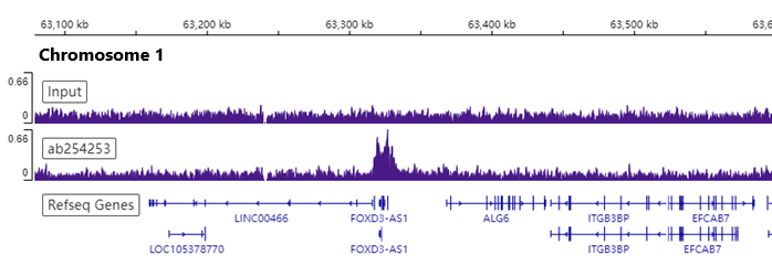 ChIP-sequencing - Anti-Bmi1 antibody [EPR22604-160] - ChIP Grade - BSA and Azide free (ab254475), expandable thumbnail