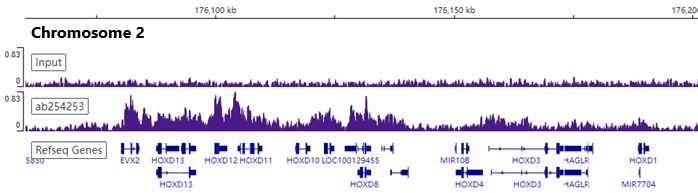ChIP-sequencing - Anti-Bmi1 antibody [EPR22604-160] - ChIP Grade - BSA and Azide free (ab254475), expandable thumbnail