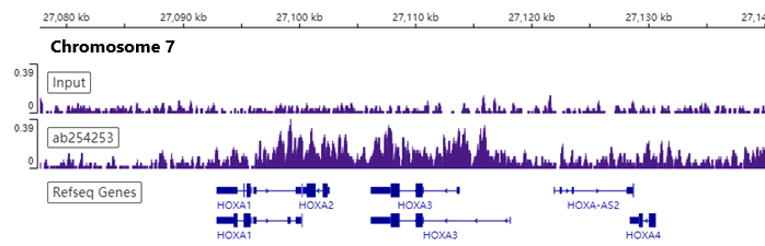 ChIP-sequencing - Anti-Bmi1 antibody [EPR22604-160] - ChIP Grade - BSA and Azide free (ab254475), expandable thumbnail