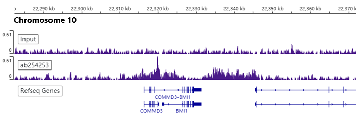 ChIP-sequencing - Anti-Bmi1 antibody [EPR22604-160] - ChIP Grade - BSA and Azide free (ab254475), expandable thumbnail