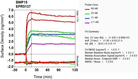 OI-RD Scanning - Anti-BMP15 antibody [EPR5137] (AB108413)