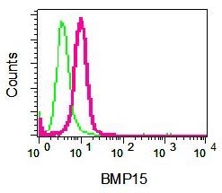Flow Cytometry (Intracellular) - Anti-BMP15 antibody [EPR5137] - BSA and Azide free (AB247662), expandable thumbnail