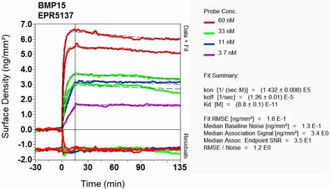 OI-RD Scanning - Anti-BMP15 antibody [EPR5137] - BSA and Azide free (AB247662), expandable thumbnail