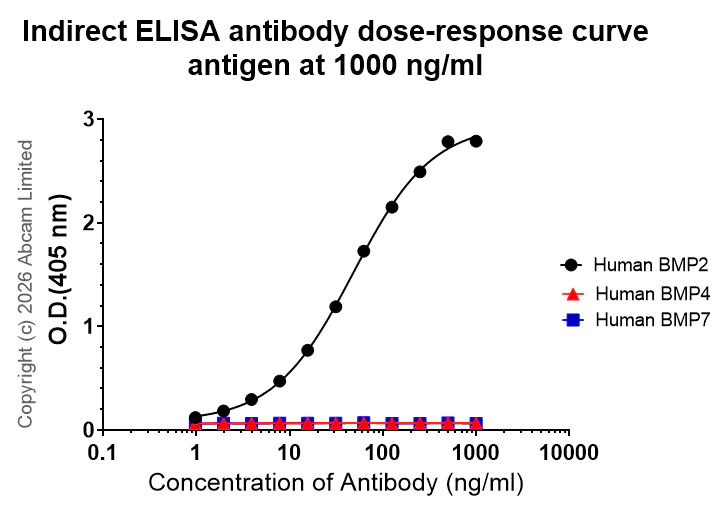 Indirect ELISA - Anti-BMP2 antibody [EPR30246-26] (AB325708)