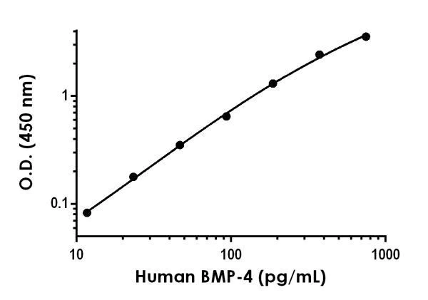 Sandwich ELISA - Anti-BMP4 antibody [EPR18235-122] - BSA and Azide free (Detector) (AB244992)