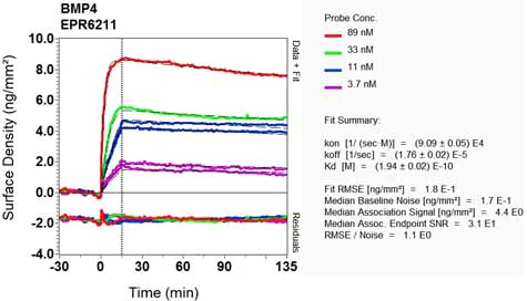 OI-RD Scanning - Anti-BMP4 antibody [EPR6211] - Low endotoxin, Azide free (AB216455)