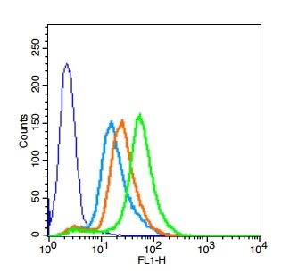 Flow Cytometry - Anti-BMPR1A antibody (AB264043)