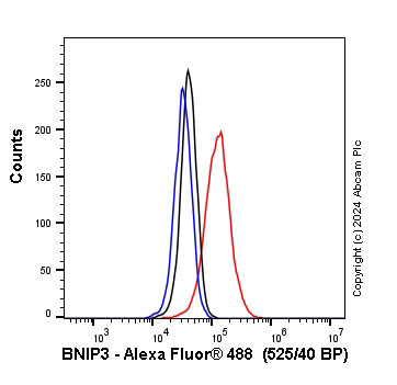 Flow Cytometry (Intracellular) - Anti-BNIP3 antibody [ANa40] (AB10433), expandable thumbnail